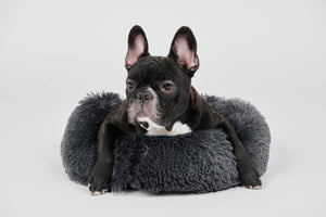 Calming Donut Bed