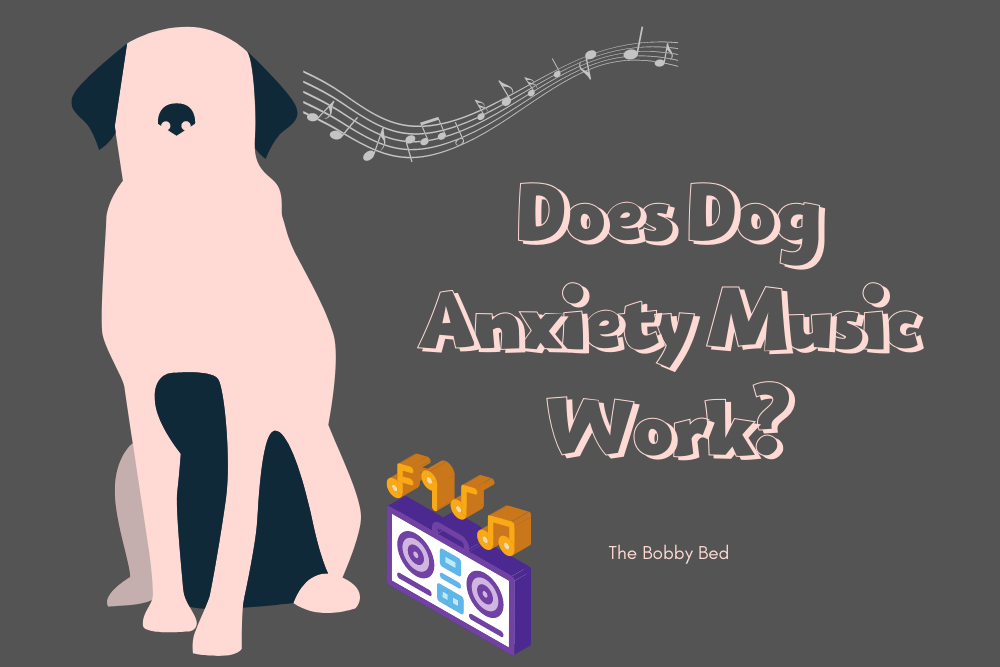 Simple and Effective Natural Remedies for Anxiety in Dogs – Bobby Bed