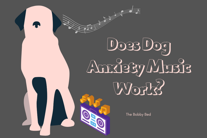 Does Dog Anxiety Music Work? (Yes Music for Dogs is a Thing)