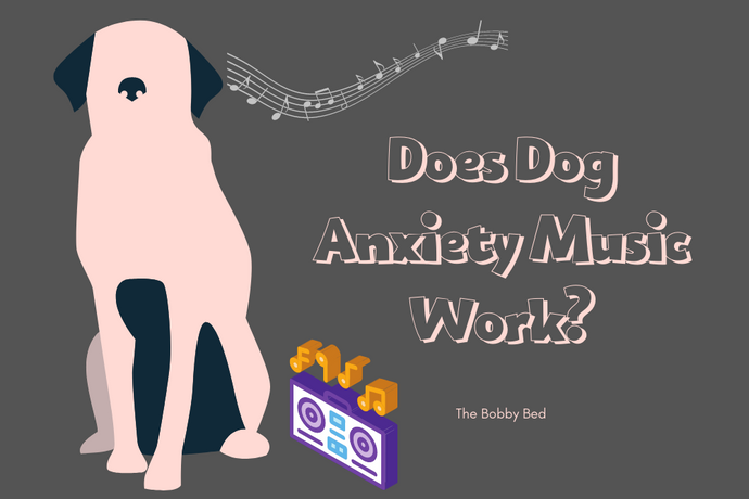 Anti anxiety best sale music dogs