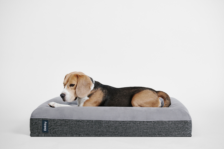 Bobby Bed Memory Foam Orthopedic Dog Beds